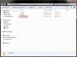 Root Memorystick.jpg